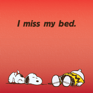 Miss my bed