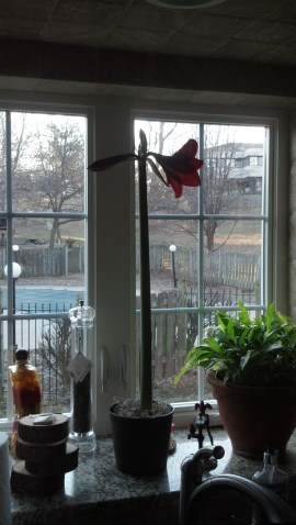 2016-02-09_08-04-29_958