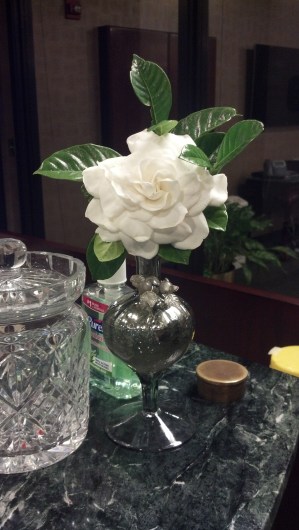 2016-06-29_12-40-12_617