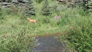 2016-07-24_09-18-52_851