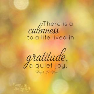 Calmness in Gratitude