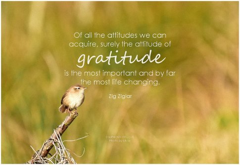 Zig Ziglar Gratitude