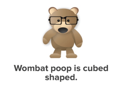 wombat 1