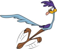 roadrunner