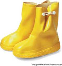 galoshes