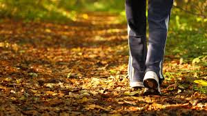 Walking in Leaves